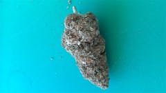 User uploaded image of Boysenberry