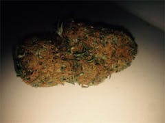User uploaded image of Brainstorm Haze