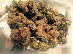 User uploaded image of Brainstorm Haze