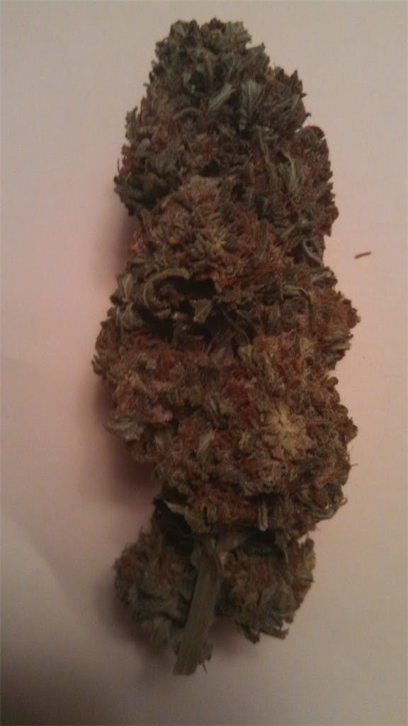 Brand X aka The Ostipow Indica Weed Strain Information Leafly