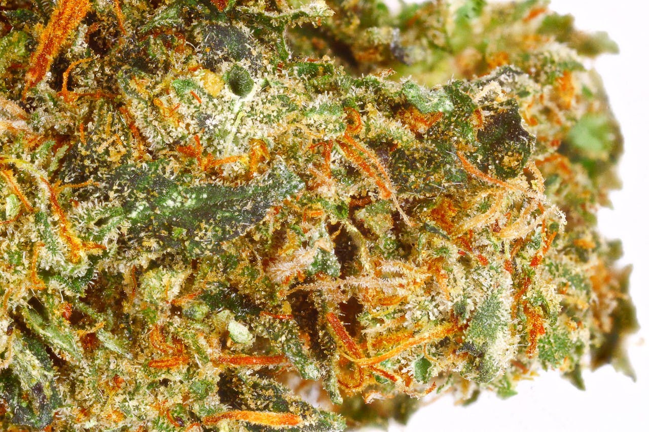 Brand X aka The Ostipow Indica Weed Strain Information Leafly