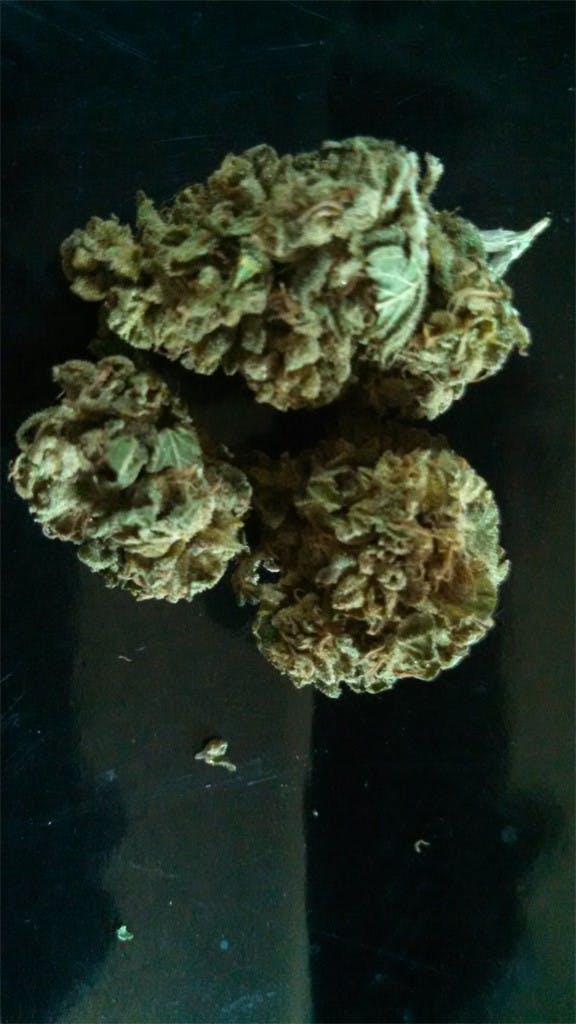 Brand X aka The Ostipow Indica Weed Strain Information Leafly