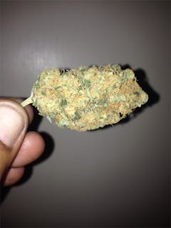 User uploaded image of Brooklyn Mango