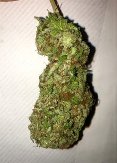 User uploaded image of Brooklyn Mango
