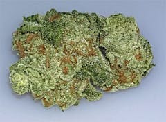 User uploaded image of Bruce Banner #3