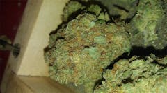 User uploaded image of Bruce Banner #3