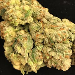User uploaded image of Bruce Banner