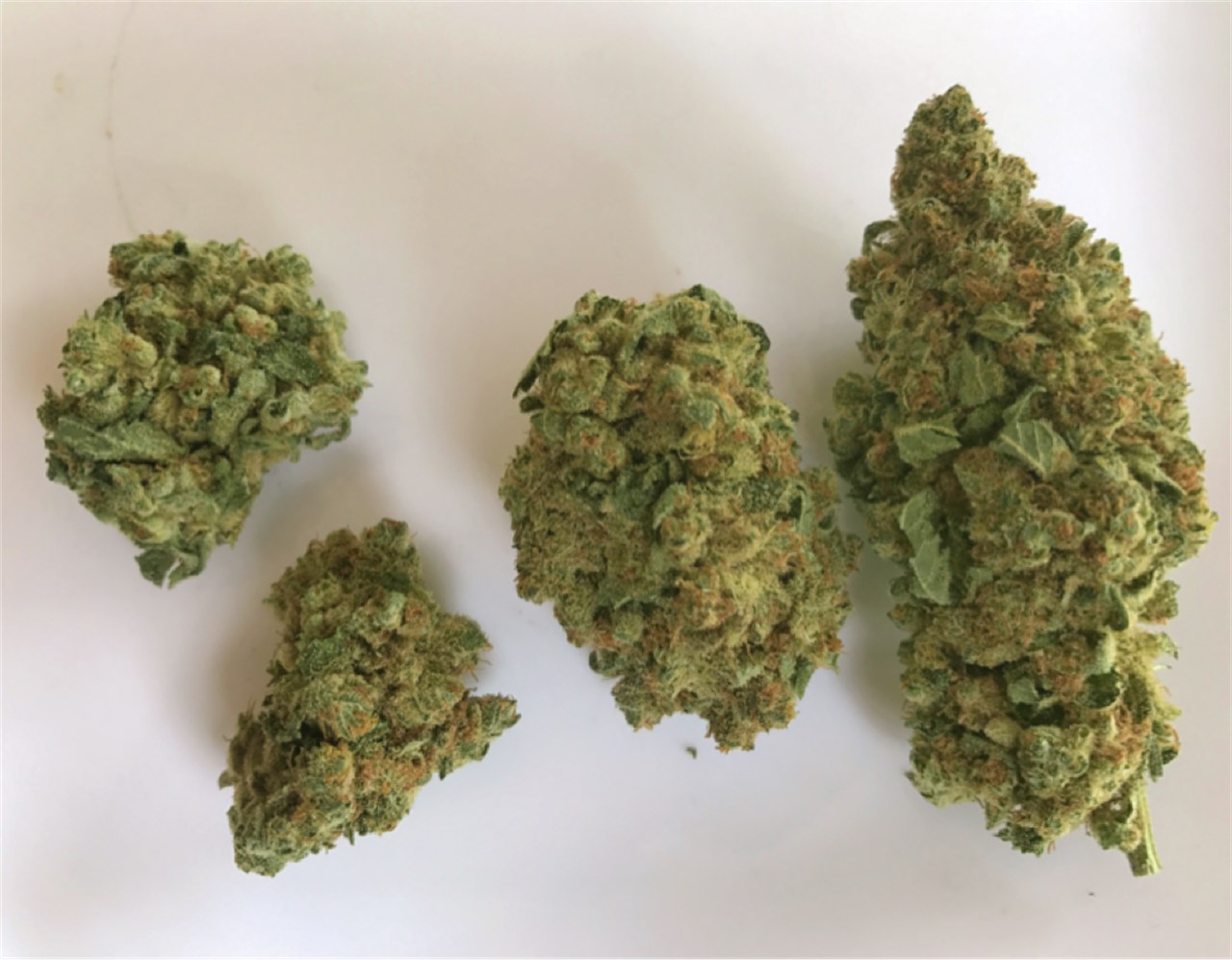 Bruce Banner aka Banner, OG Banner, Bruce Weed Strain Information | Leafly