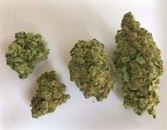 User uploaded image of Bruce Banner