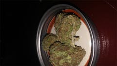 User uploaded image of Boy Scout Cookies