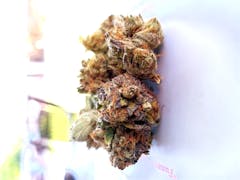User uploaded image of Bubba Kush