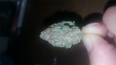 User uploaded image of Bubba's Gift