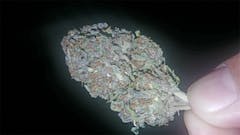 User uploaded image of Bubba's Gift