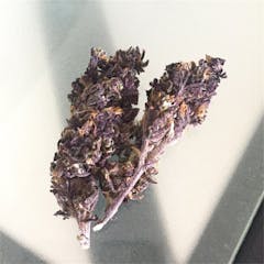 User uploaded image of Bubba x Skunk