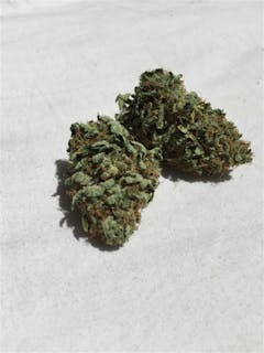 User uploaded image of Bubble Cheese