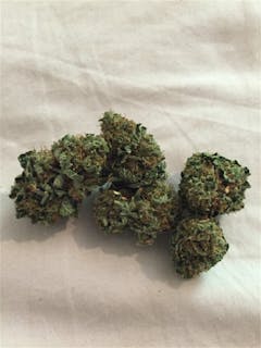 User uploaded image of Bubble Cheese