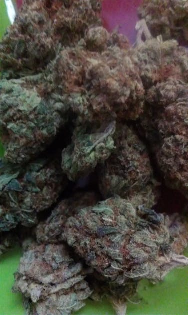 Photos of Bubble Cheese Weed Strain Buds Leafly