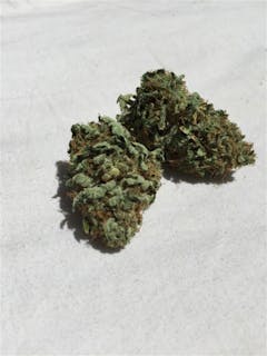 User uploaded image of Bubble Cheese