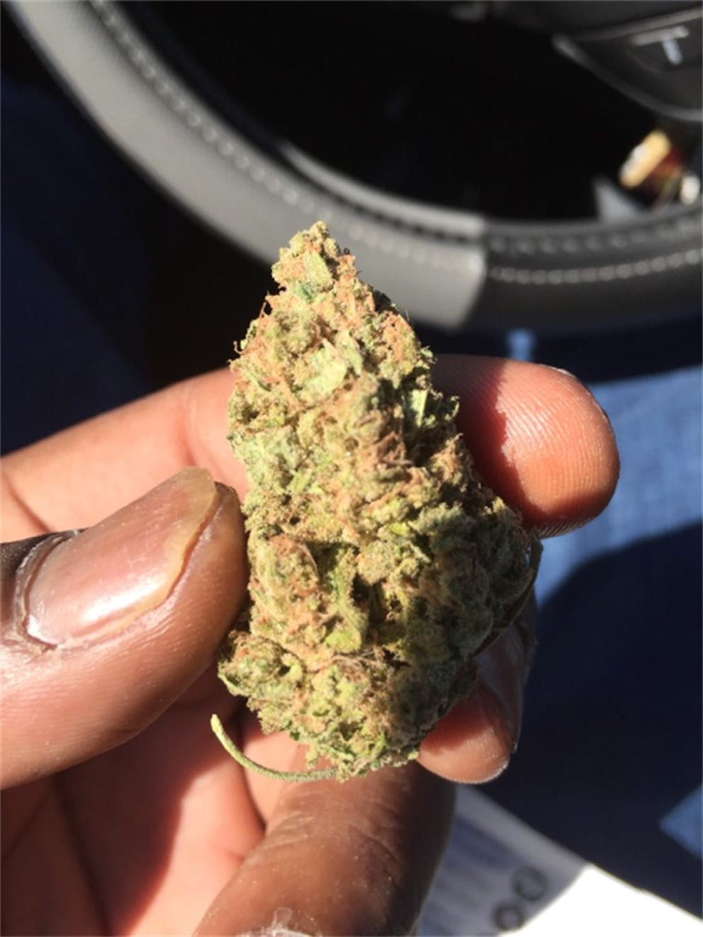 Photos of Bubble Gum Weed Strain Buds Leafly