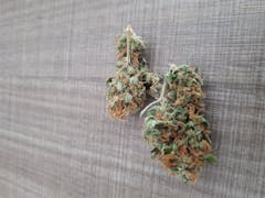 User uploaded image of Bubble Gum