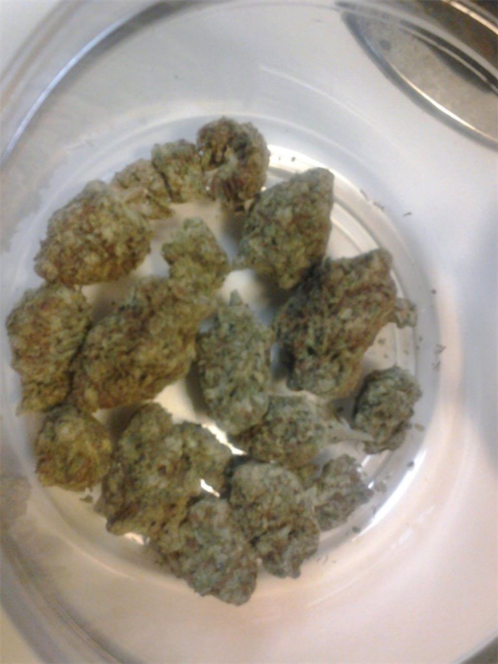 Photos of Bubble Gum Weed Strain Buds Leafly