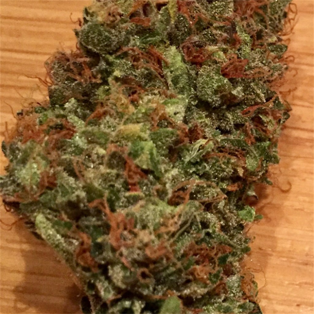 bubble gum strain weed