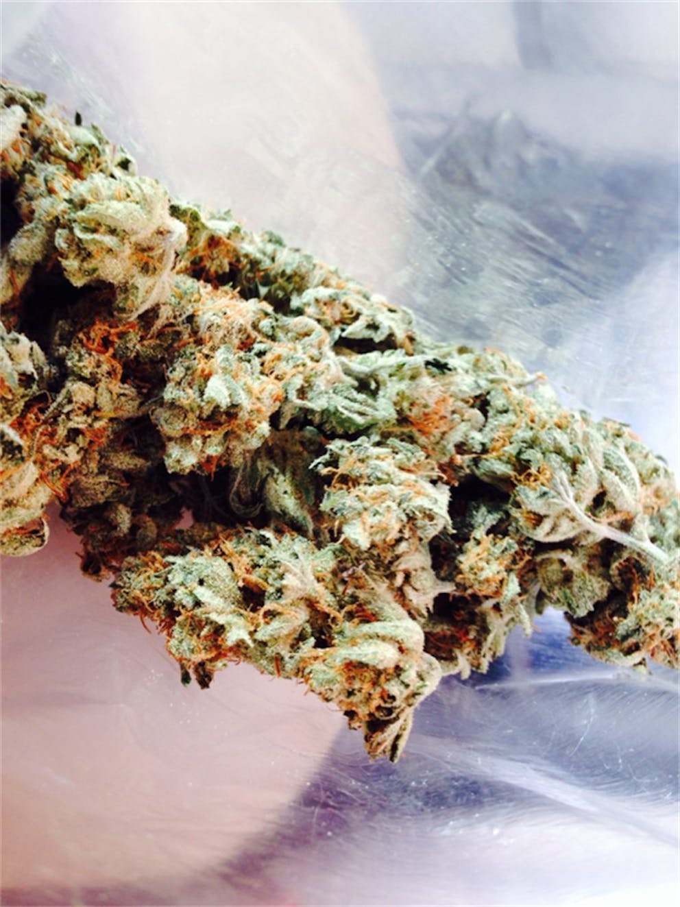 Photos of Bubble Gum Weed Strain Buds Leafly