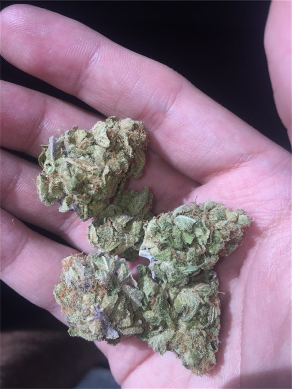 Photos of Bubble Gum Weed Strain Buds Leafly