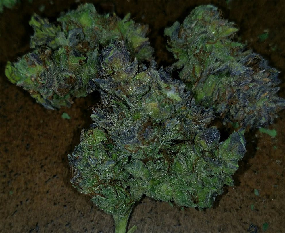 Photos of Bubble Gum Weed Strain Buds Leafly