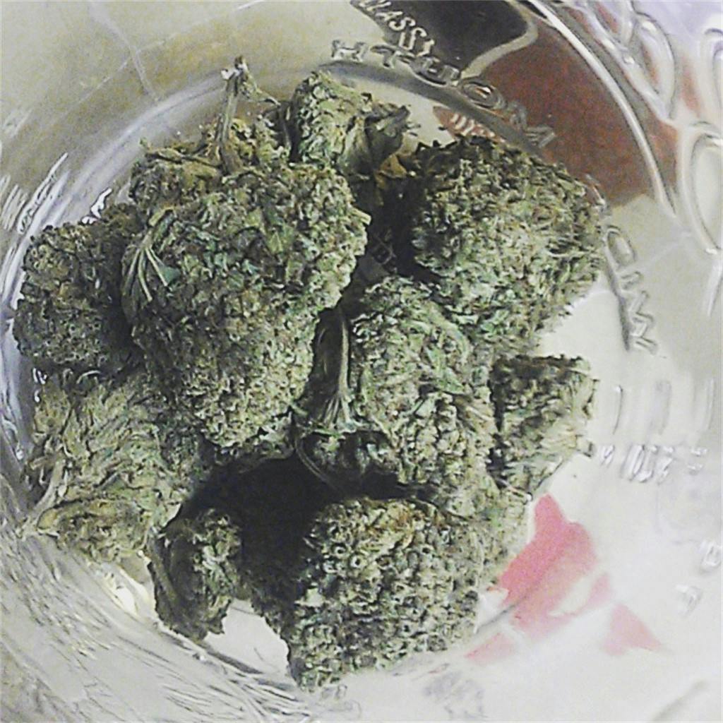 Photos of Bubble Gum Weed Strain Buds Leafly