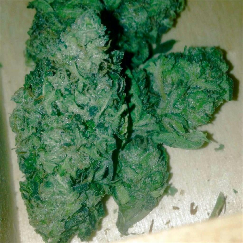 Photos of Bubble Gum Weed Strain Buds Leafly