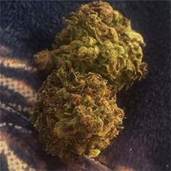 User uploaded image of Bubble Gum