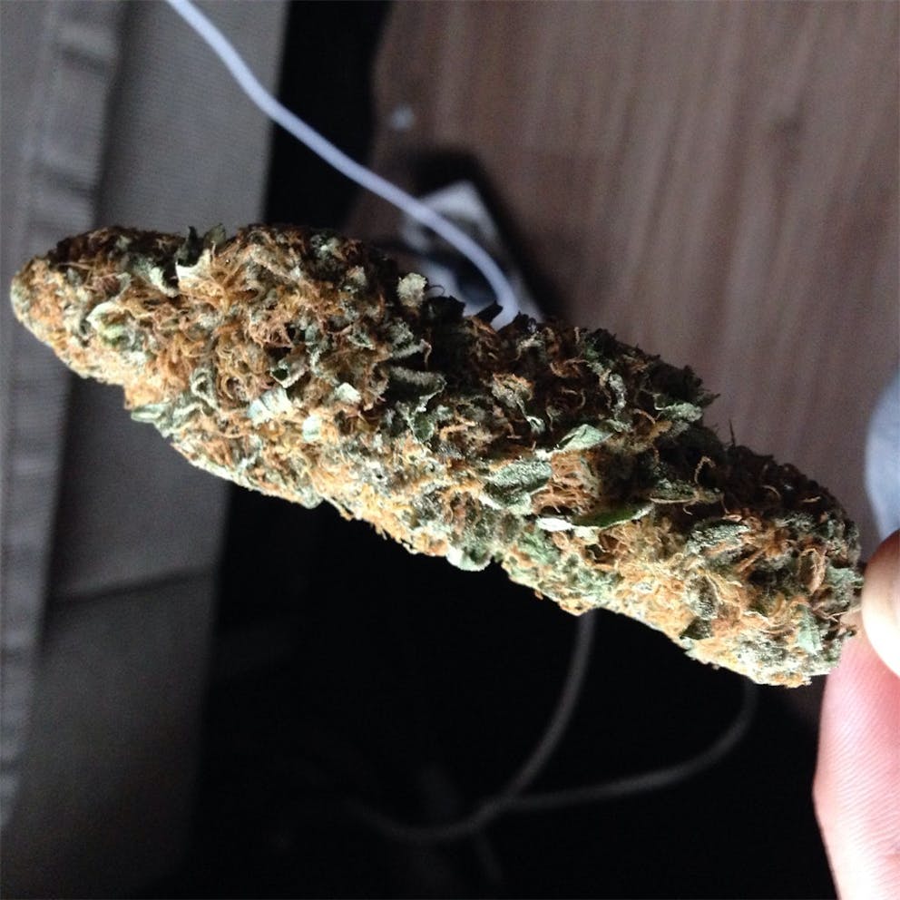 Photos of Bubble Gum Weed Strain Buds Leafly