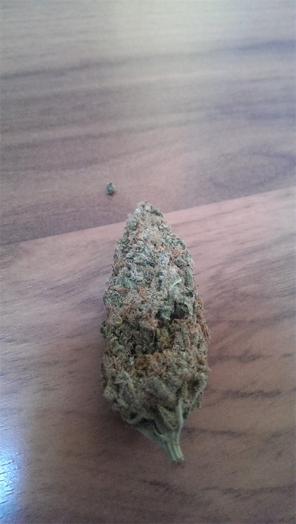 Photos of Bubble Gum Weed Strain Buds Leafly
