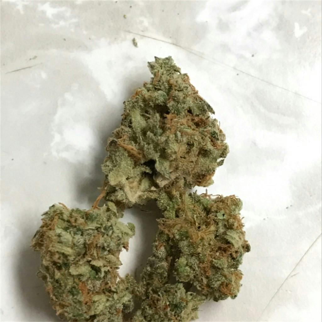Photos of Bubble Gum Weed Strain Buds Leafly