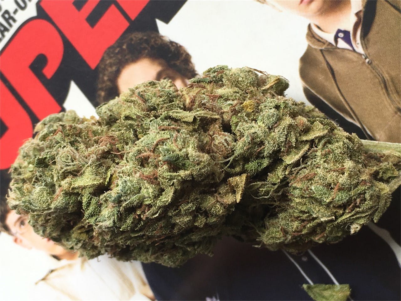 Photos of Bubblegum Kush Weed Strain Buds Leafly