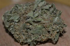 User uploaded image of Bubblegum Kush
