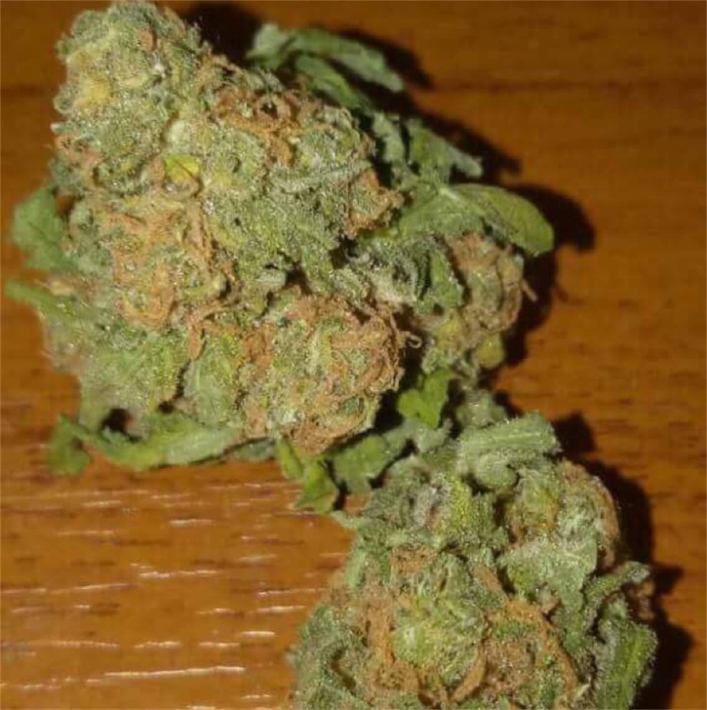 thc in bubble gum strain