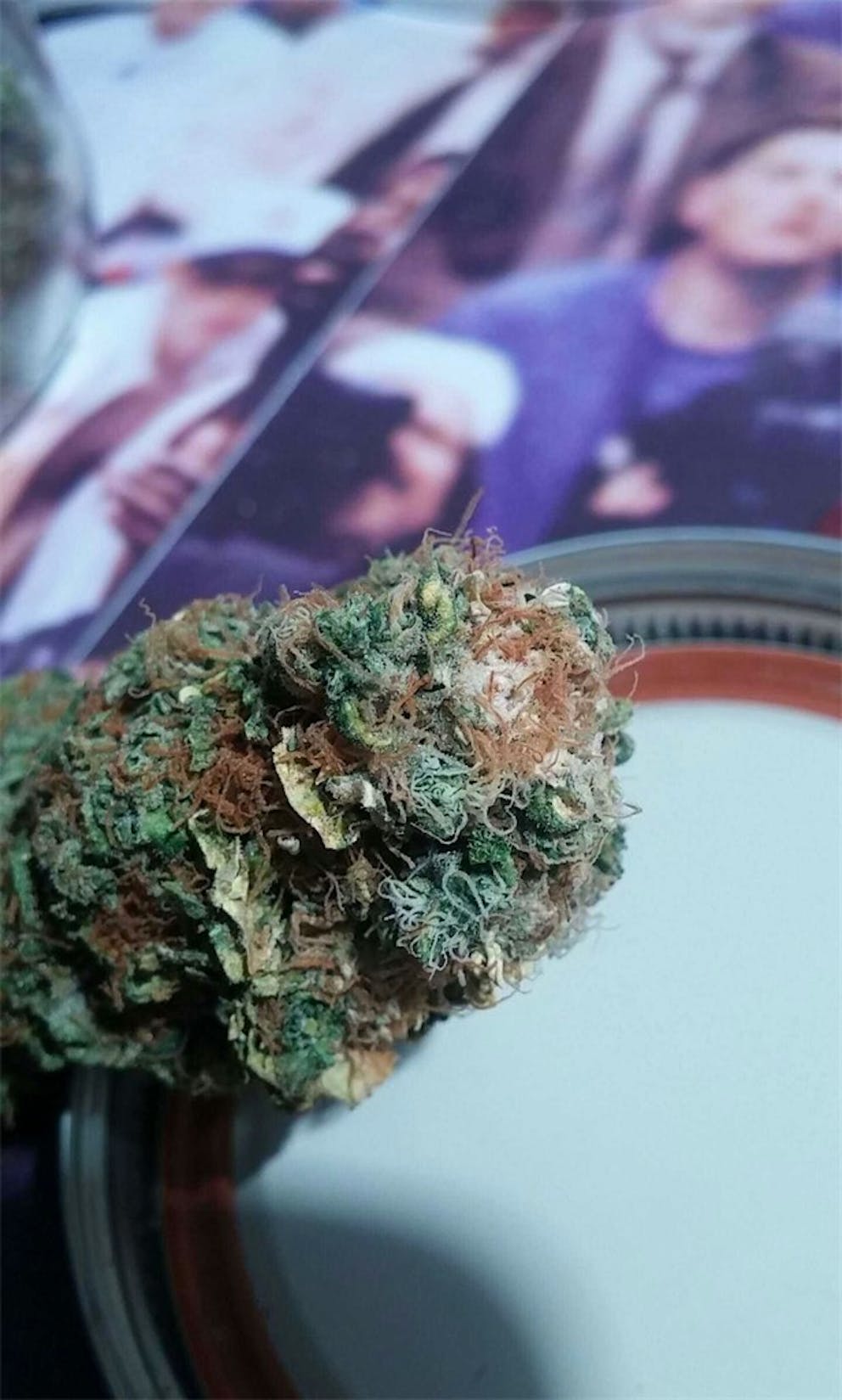 Photos of Bubblegum Kush Weed Strain Buds Leafly