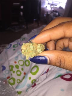 User uploaded image of Bubblegun