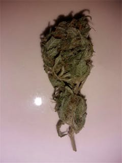 User uploaded image of Bubblegun