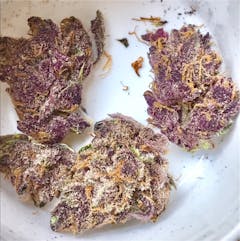 User uploaded image of Buckeye Purple