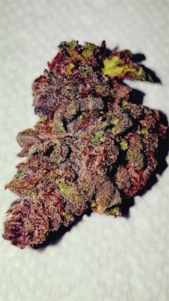 User uploaded image of Buckeye Purple