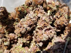 User uploaded image of Buckeye Purple