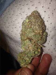 User uploaded image of Buddha Haze