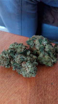 User uploaded image of Buddha Haze