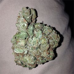 User uploaded image of Buddha Haze