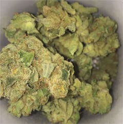 User uploaded image of Buddha Haze