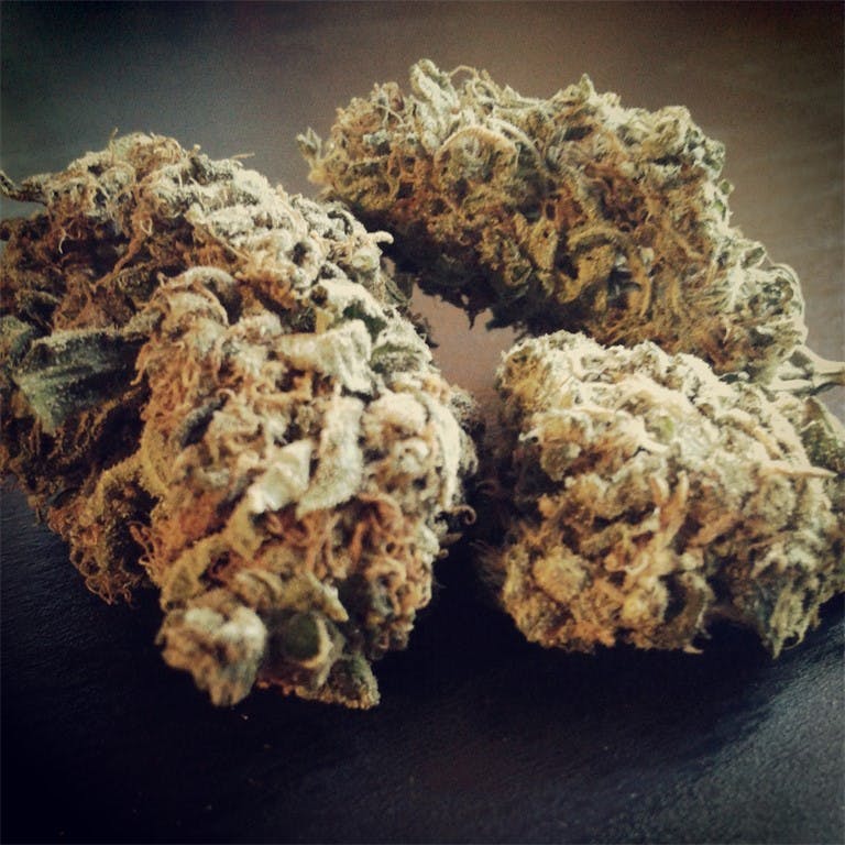 Buddha Haze Weed Strain Information Leafly