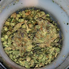 User uploaded image of Buddha Haze